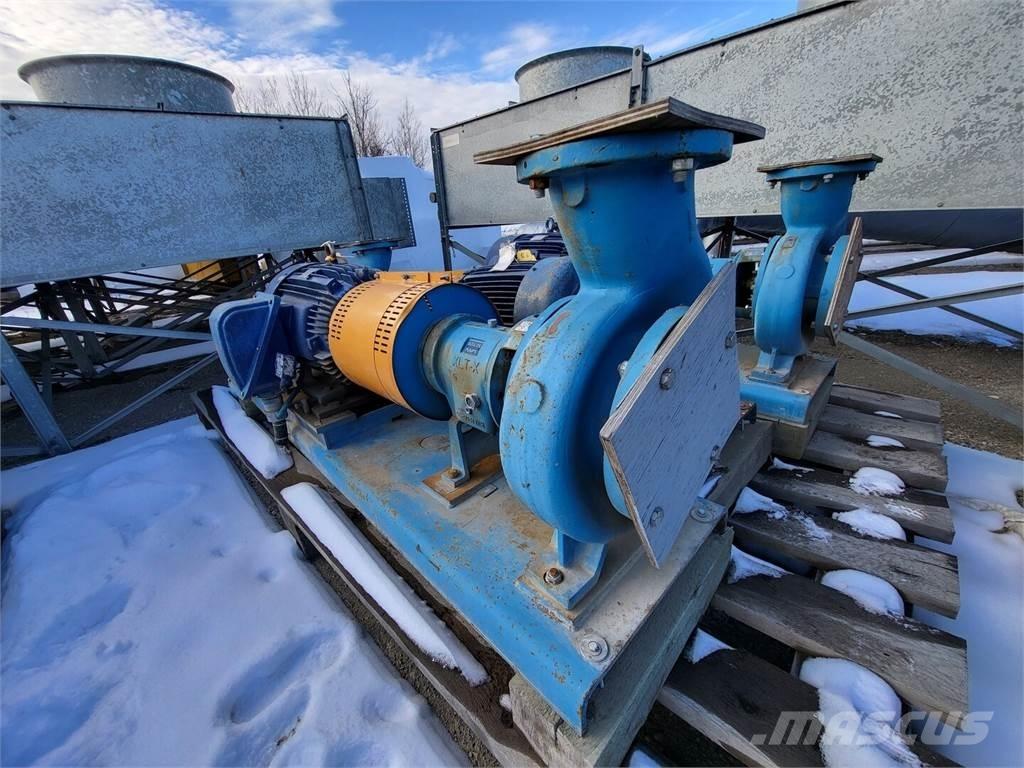  GOULDS 3196 Ūdens sūkņi