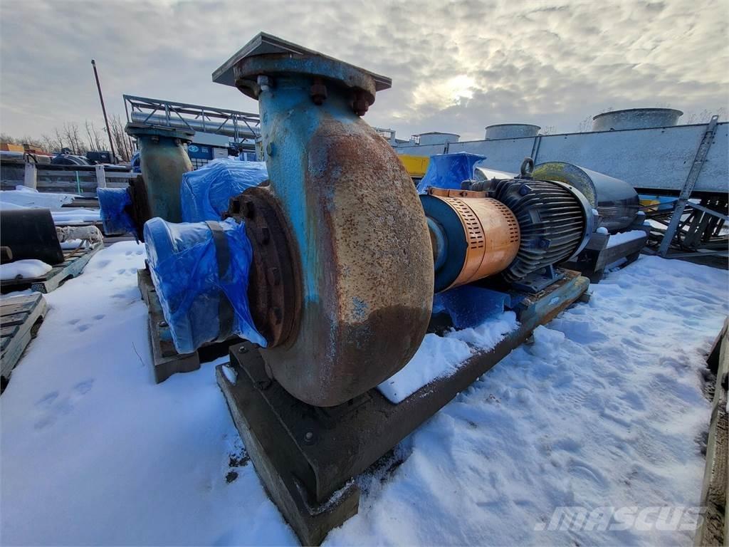  GOULDS 3196 Ūdens sūkņi