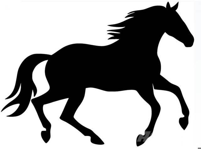  Bay Filly Būvniecība- Citi