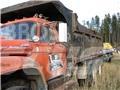 Ford T850 Pašizgāzējs