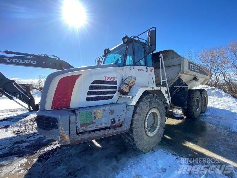 Terex TA30 Artikulētie pašizgāzēji