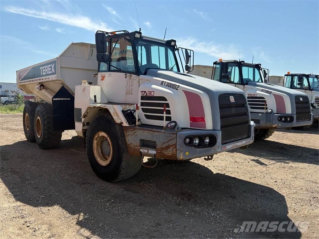 Terex TA30 Artikulētie pašizgāzēji