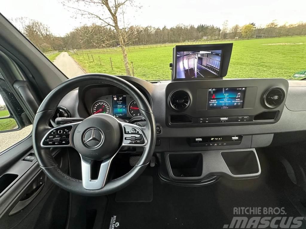 Mercedes-Benz Sprinter AMG 2-paards paardenvrachtwagen B-rijbewi Dzīvnieku pārvadāšanas transports