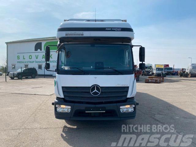 Mercedes-Benz ATEGO 1223 with plane EURO 6 VIN 710 Tents
