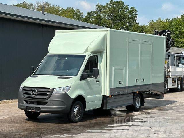 Mercedes-Benz Sprinter 519 CDI CAZOO Sportwagentransporter Evakuatori
